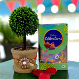 Rakhi Gifts With Artificial Plant & Cadbury Celebration Chocolate