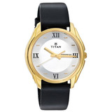 Titan Brass Case Silver White Dial Analog Watch for Men (1578YL04)