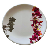 Durable Royal Serve Melamine Plano