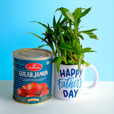 Father's Day Mug With Plant & Haldiram's Sweets 1 kg