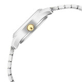 Titan Lagan Silver Dial Analog Watch For Women With Day & Date function Titan Lagan Silver Dial Analog Watch For Women With Day & Date function