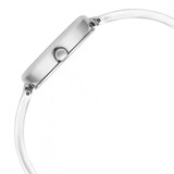 Titan Raga Viva Silver Dial Watch for Women-2683SM01
