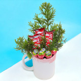 Christmas Joy with Lollypop and Kitkat Chocolates Treat