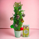 "Chocolate with Artificial Plant in Decorative Christmas Hamper"
