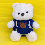 Surprise White Teddy With Blue Hoodie - 9"
