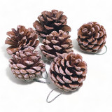 Merry Christmas Tree Decor Ornaments
