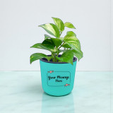Money Plant in Self Watering Pot - Free Message Engraving
