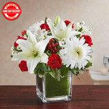 White N Red Delight (USA Delivery Only)