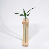 Decorative Test Tube Planter With Wooden Stand