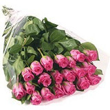 20 Long Stem Pink Roses Bouquet