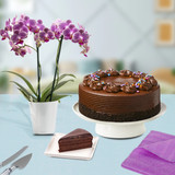 Cake and Orchid Plant (Canada Delivery Only) Cake and Orchid Plant (Canada Delivery Only)