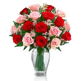 Just Say It (Canada Delivery Only)