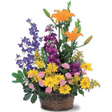Basket of Mixed Flowers (Canada Delivery Only)