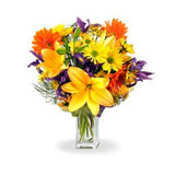 Mandarin Swirls (Canada Delivery Only)