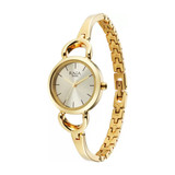Titan Raga Champagne Dial Watch For Woman-2724YM01