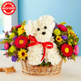 Precious Pup (USA Delivery Only)