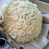 Elegant 100 Long-Stem White Roses Bouquet
