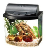 Mini Aquarium Gift Set