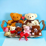 Teddy Snuggle Squad Combo