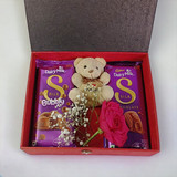 Teddy Treat Treasure