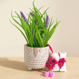 Artificial Plant with Pink Floral Design Couple Rakhi