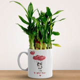 Natural 2 Layer Bamboo Plant in Ceramic Mug