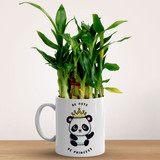Bamboo Houseplant 2- Layer In a Baby Panda Themed Mug