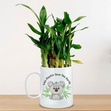 Natural Bamboo Plant In Ceramic Mug