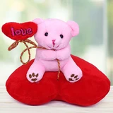 Teddy and Shrawan Accessories Gift