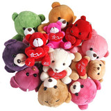 Dozen Cute Teddy Bears Combo - Love Bunch