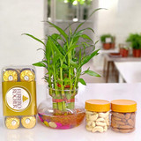 Lucky Bamboo Bliss: Treats & Tranquility