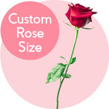 Size Your Love (Customized Number of Roses Bouquet)
