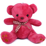 Custom Mini Teddy Bear With Photo & Message Print On T-shirt