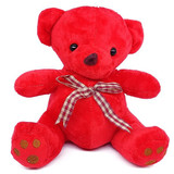 Custom Mini Teddy Bear With Photo & Message Print On T-shirt
