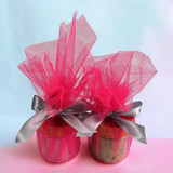 Mini Jar Color Fusions For Holi