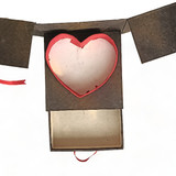 Sweet & Sentimental: Roses and Chocolates Combined Box