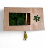Dry Fruits Box with Kiwi & Papaya Compartments Giftmandu