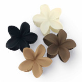 Birthday Gift Chrisbella Wallet & Floral Clip Giftmandu