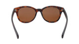 Fastrack Brown Round Rimmed Sunglasses For Unisex-P469BR2 Giftmandu Fastrack Brown Round Rimmed Sunglasses For Unisex-P469BR2 Giftmandu