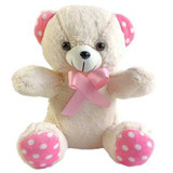 Bounty Birthday Surprise Box – With Teddy And Topper NKS-651 Giftmandu