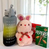 Cute Bunny Gift Set with Bottle & Pepero