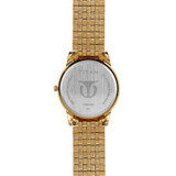 Titan Golden Dial Analog Watch for Men (1638YM02)