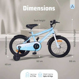 R for Rabbit Vroom 16 Inch Bicycle-BLVRLB16 BLVRLB16