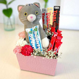 Carnation & Chocolate Gift Box with Cat Toy NKS-1146