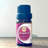 Naturo Earth Anthopogon Essential Oil - 10ml NEA-30