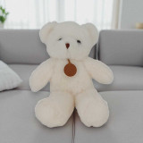 Teddy with Men's Grooming Gift Basket JNK-4690