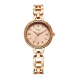 Titan Raga Showstopper Quartz Analog Rose Gold Dial Metal Strap Women's Watch 95305WM01 Titan Raga Showstopper Quartz Analog Rose Gold Dial Metal Strap Women's Watch 95305WM01