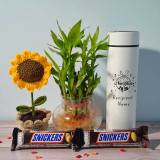 New Year 2026 Gift Set with Bamboo Plant & Chocolates JNK-5125 New Year 2026 Gift Set with Bamboo Plant & Chocolates JNK-5125