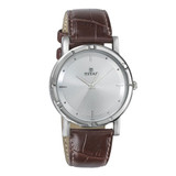 Titan Karishma Analog Silver Dial Men's Watch -(1639SL01)