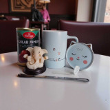 Ganesh Idol, Sweets & Kitty Mug Gift Set SPM-78